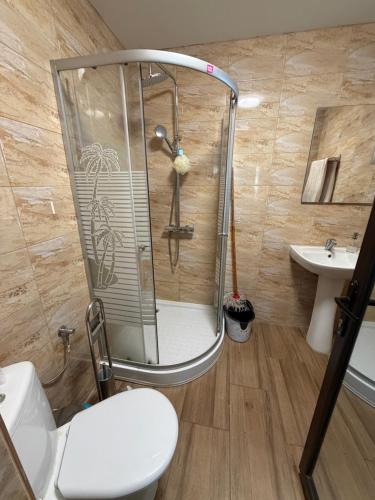 a bathroom with a shower and a toilet and a sink at Casa Drăghici in Nucet