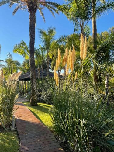 Villa in palm tree plantation, near the beach.
