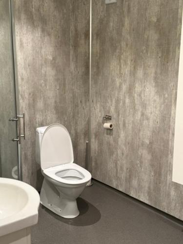a bathroom with a toilet and a sink at Rosenli Gård in Tønsberg
