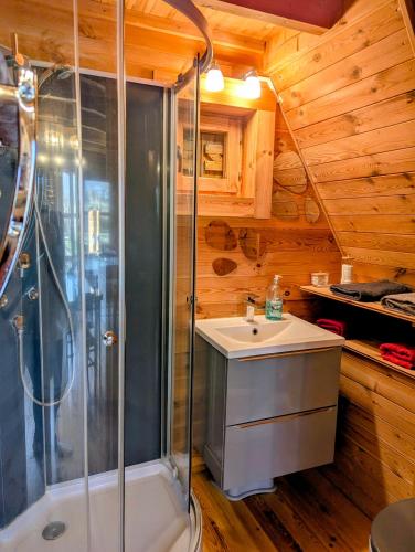 a bathroom with a shower and a sink at " domaine des chevrettes chalet cosy au cœur des châteaux " in Cour-Cheverny