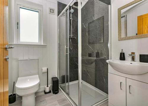 a bathroom with a shower and a toilet and a sink at Finest Retreats - Silverwood Junior Chalet in Errol