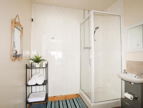 a bathroom with a shower and a sink at Angorfa Apartment in Pwllheli