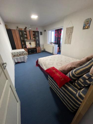 a bedroom with a bed and a couch in it at Apartament 28 noiembrie Ap 8 Et 2 in Siret