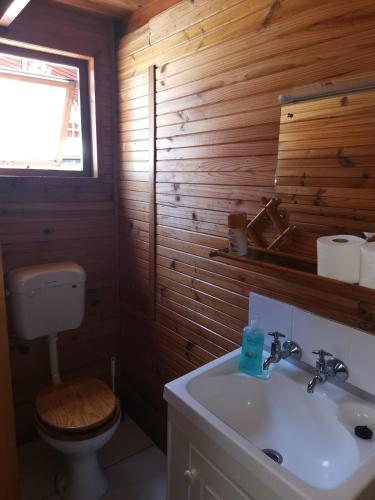 a bathroom with a toilet and a sink at Log Cabin- Forest, Lagoon Sea location in Hermanus