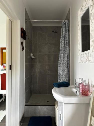 a bathroom with a shower and a sink at The Keep Cottage in Underberg