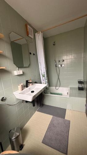 a bathroom with a sink and a shower and a tub at Apartment im Gründle in Birkenfeld