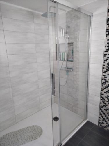 a shower with a glass door in a bathroom at FeWo Waldblick in Goslar