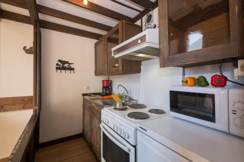 Grand Roc C415 from Slopes 280m, Mont-Blanc View & Parking - Happy Rentals