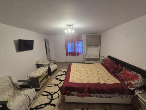 a living room with a bed and a couch at Hello Retezat in Râu de Mori