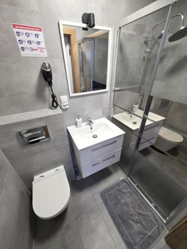 a bathroom with a toilet and a sink and a shower at Domki Rajski Wypoczynek z basenem in Jastrzębia Góra