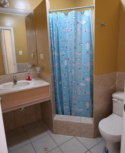 a bathroom with a shower with a sink and a toilet at Apartamento playa Tonsupa in Tonsupa
