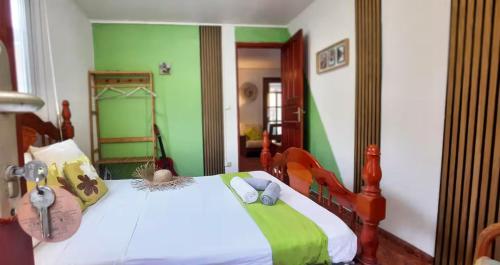 ein Schlafzimmer mit einem großen Bett und grünen Wänden in der Unterkunft Maison Béro - avec Jardin et salle de sport in Capesterre-Belle-Eau