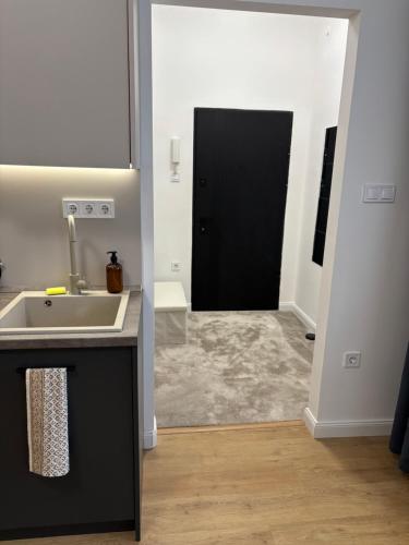 a bathroom with a sink and a black door at Museum 4 Residence in Debrecen