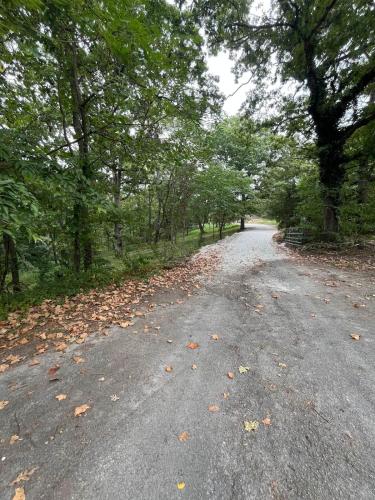 an empty road with trees and leaves on it at Post Oak Perch-Cozy Forest A-frame Near Bentonville in Rogers
