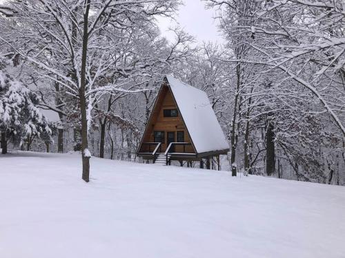 a cabin with a snow covered roof in the woods at Black Walnut Bungalow-Cozy Forest A-frame near Bentonville in Rogers