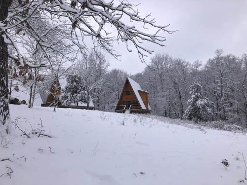 a cabin on a hill covered in snow at Dogwood Den- Cozy Forest A-Frame Near Bentonville in Rogers