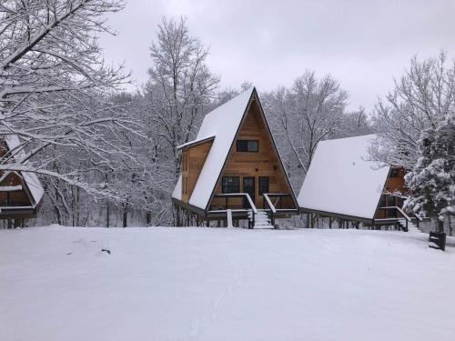 a house with a snow covered roof in the snow at Black Gum Getaway-Cozy Forest A-frame Near Bentonville in Rogers