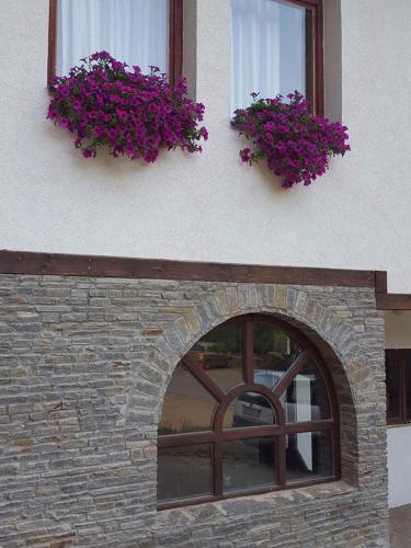 Gambar di galeri bagi Villa Ana Marija di Duračka Reka