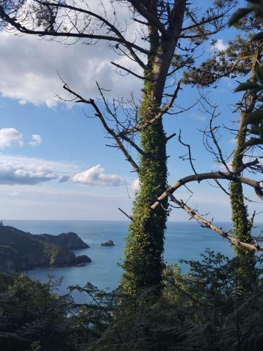 Nature et Bord de Mer