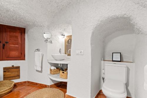 a bathroom with a toilet and a sink at LAS DUNAS Caves - Olivo in Benamaurel