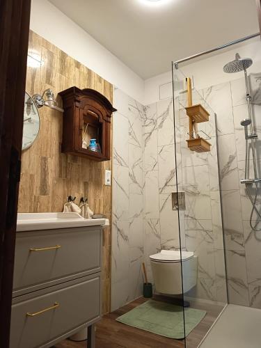 a bathroom with a toilet and a glass shower at Domaine Le Verger Kleinschalige B&B met groot zwembad en buitenkeuken in Saint-Estèphe