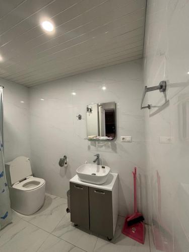a bathroom with a toilet and a sink at Alvina House in Tsaghkadzor