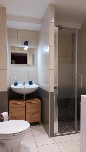 a bathroom with a sink and a shower and a toilet at La petite tuilerie d Eguisheim in Eguisheim