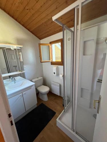 a bathroom with a toilet and a sink and a shower at CHALET Cosy in Uxelles
