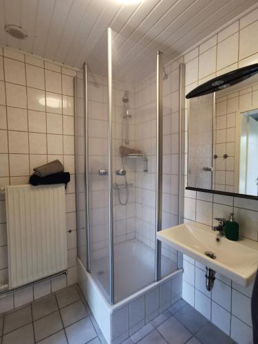 a bathroom with a shower and a sink at 14 Bienenstock - Hof Wiesengrund in Parchtitz