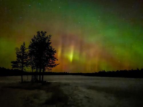 an aurora in the sky over a lake with trees at Holiday Home Jolmalompolo by Interhome in Raanujärvi