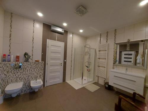 a bathroom with a shower and a toilet and a sink at Apartment Trieste M&M in Muggia