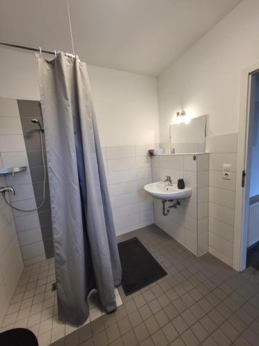 ein Badezimmer mit Duschvorhang und Waschbecken in der Unterkunft 12 Mohnblume - Hof Wiesengrund in Parchtitz