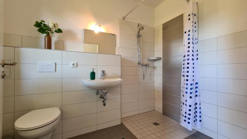 a bathroom with a toilet and a sink at 11 Haselnuss - Hof Wiesengrund in Parchtitz