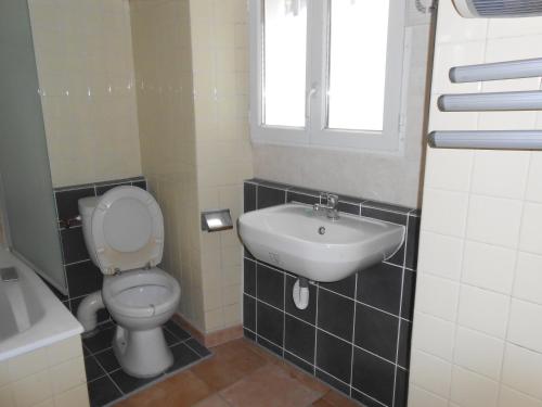 a bathroom with a toilet and a sink at location Mirande 3 chamb 8 couchages 9 rue de soupon in Laruns