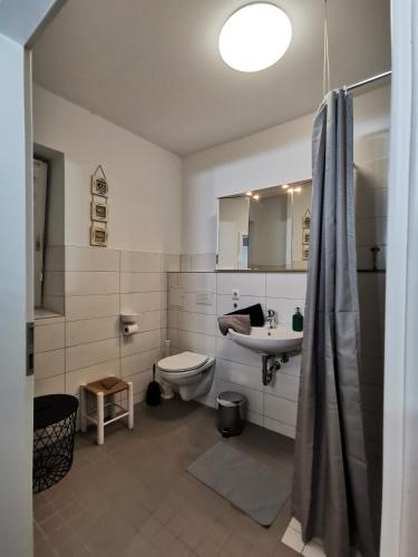 a bathroom with a toilet and a sink at 10 Walnuss - Hof Wiesengrund in Parchtitz