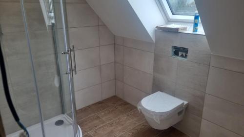 a small bathroom with a shower and a toilet at Lewitz-Urlaub in Lübesse