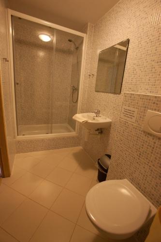a bathroom with a toilet and a shower and a sink at Penzion Modrý Pavilon in Dolní Malá Úpa
