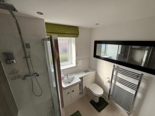 a bathroom with a shower and a toilet and a sink at Hawksbill way in Peterborough