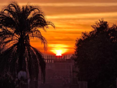 a palm tree in front of a sunset at Villa Desert Rose in Luxor