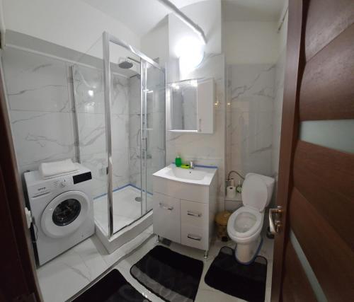 a bathroom with a shower sink and a toilet at Apartament Daniela in Râmnicu Vâlcea