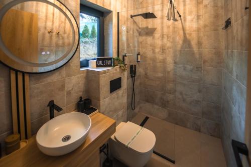 a bathroom with a sink and a toilet and a mirror at Royal Hill Bran-A-Frame and Bungalows whit Hot Tub and Sauna in Sohodol
