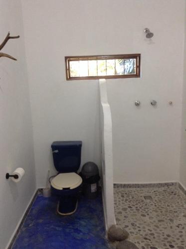 a bathroom with a blue toilet and a window at Casa Cafetal Coatepec in Coatepec