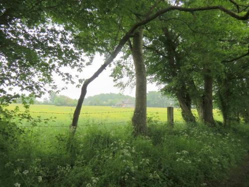 a field of grass with trees and a fence at Le Chant Des Fees in Notre-Dame-de-Courson