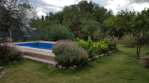 a garden with a swimming pool and some plants at Los Aromos Cabañas loft in San Marcos Sierras