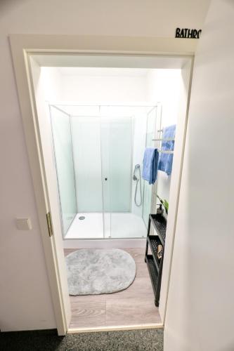 a bathroom with a shower with a glass door at Schlossberg Residence in Freiburg im Breisgau