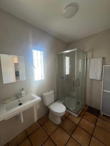 a bathroom with a toilet and a shower and a sink at Casa Rural Cortijo Cerro Limon in Málaga