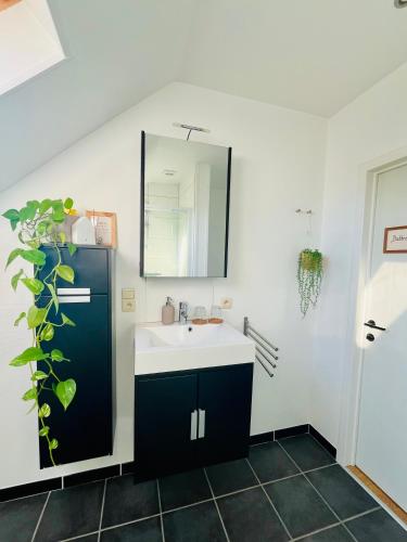 a bathroom with a sink and a mirror at Ruime studio met eigen ingang en private badkamer in Opwijk