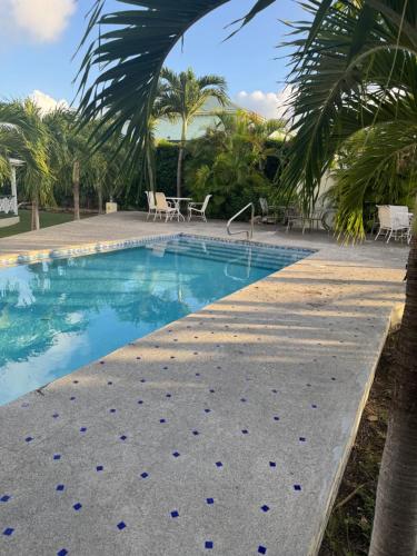 basen z błękitną wodą i palmami w obiekcie The Palms apt 2 w mieście Cedar Grove