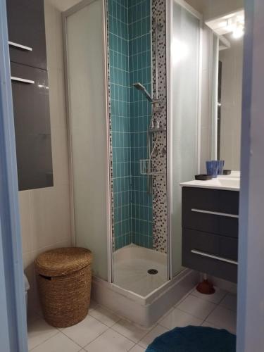 a bathroom with a shower and a sink at La Terrasse des Voiliers in Frontignan