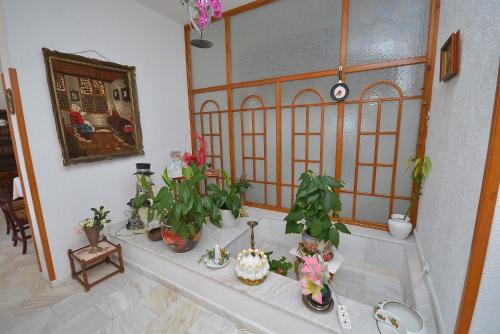 a room with a table with plants on it at Hotel Vila Margot in Herceg-Novi